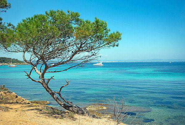 Porquerolles, les îles d’Or